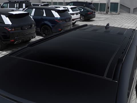 2023�� 110 3.0T P400 X-DYNAMIC HSE