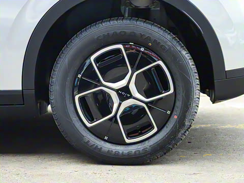 2025�� 330��ҫ��