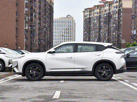 2025�� 518������