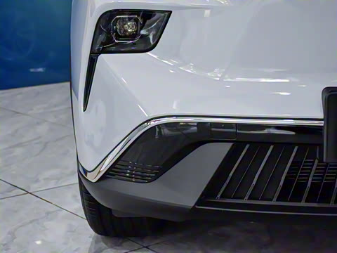 2025�� 445km ��ѡ��