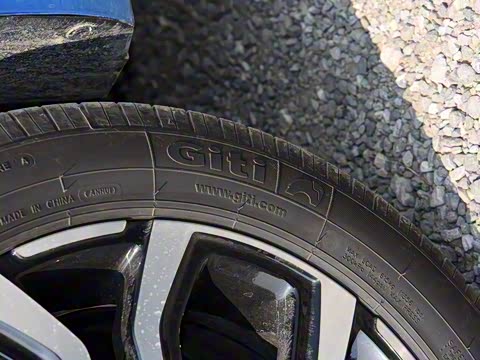 2019�� ������