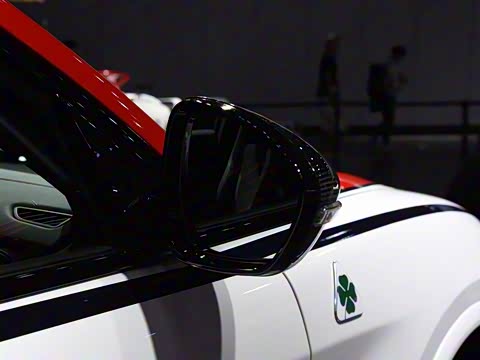 2019�� 2.9T 510HP F1������