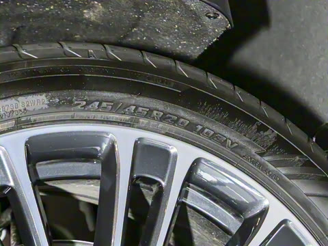 2025�� ���� Max