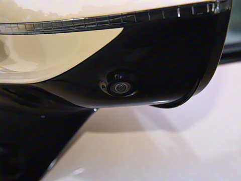 2025�� Max �����