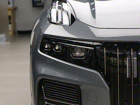 2025�� 2.0TD EM-P ����Max ����