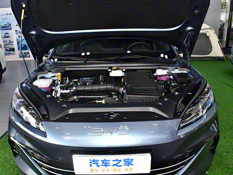 2025�� DM-i 80KM�����