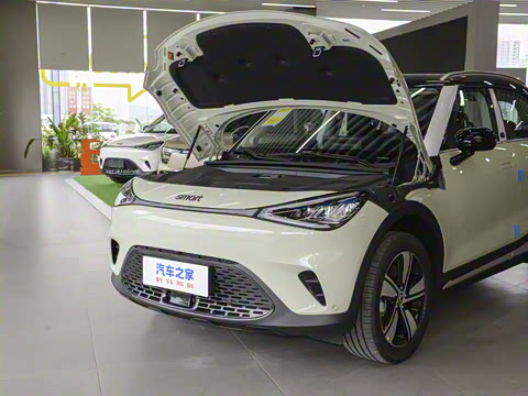 2026�� �鶯������