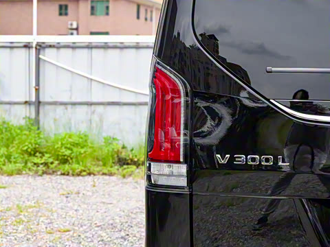 2025�� V 300 L ����������