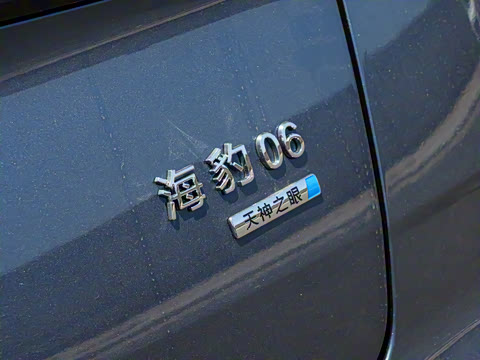 2025�� DM-i 80KM�����