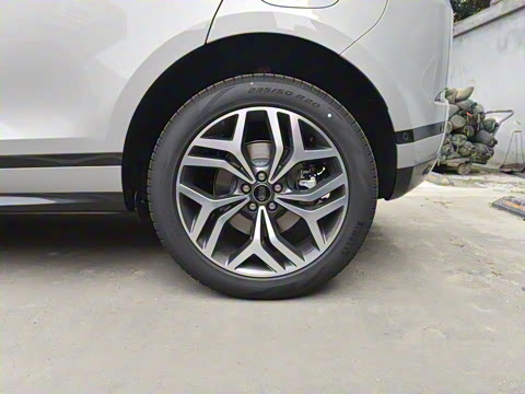 2021�� ����L P300e ������