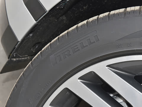 2021�� ����L P300e ������