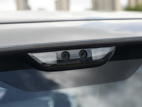 2025�� Max �����