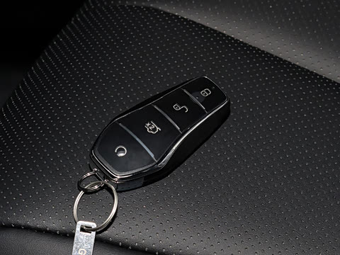 2025�� DM-i 80KM�����