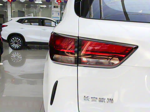 2021�� GT 2.0T �Զ��콢�� 7��