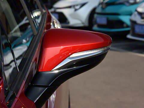 2019�� ����