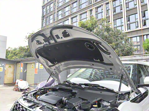 2021�� ����L P300e ������