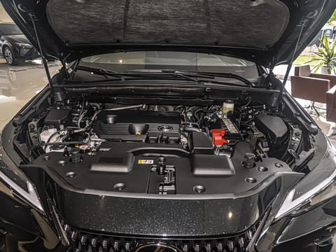 2025�� 260 ǰ�� �ر��