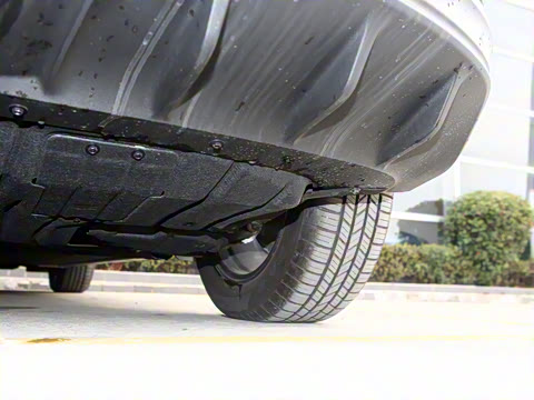 2024�� �糱��(������)