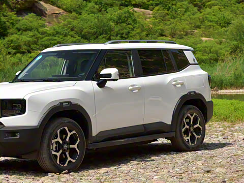 2025�� 220km ����������