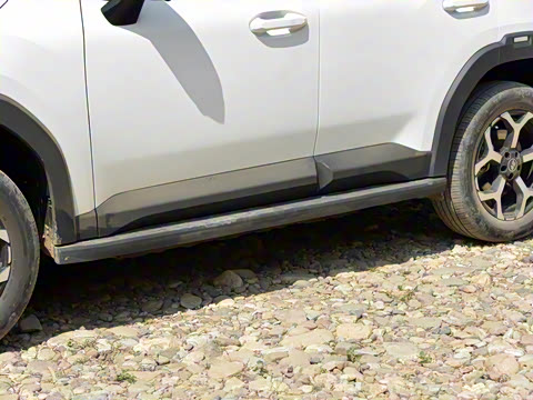 2025�� 220km ����������