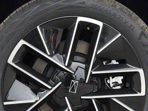 2025�� Max ���������