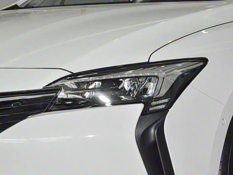 2022�� ���춯 �����ǻ���