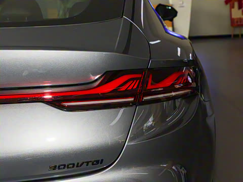 2025�� 1.5T 300 DCT������