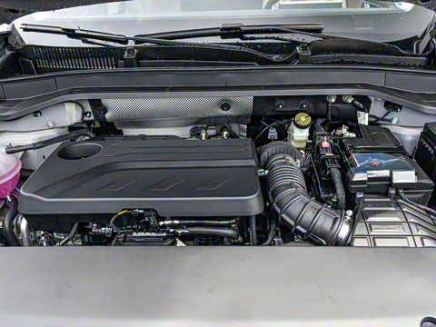 2025�� 2.0T ��������� 7��