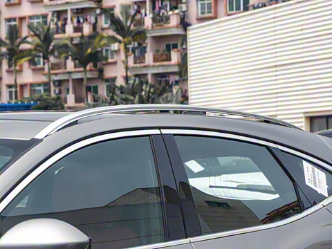 2024�� ��ȡ�˶��� R-DYNAMIC S