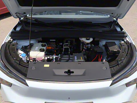 2025�� 445km ���ð�