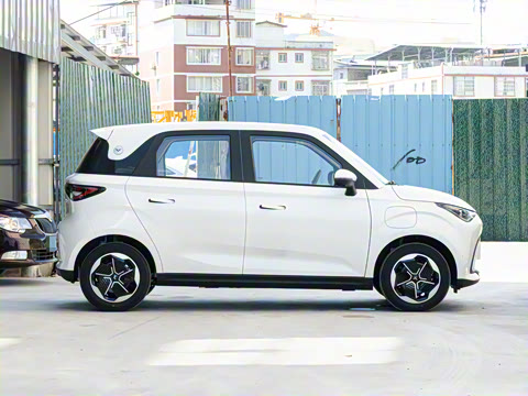 2026�� Mate 305km ����̤�˰�