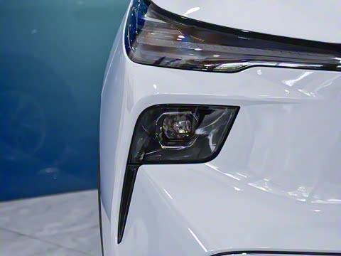 2025�� 445km ��ѡ��