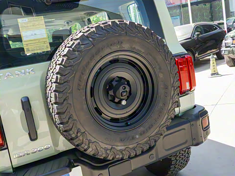 2021�� 2.0T ��������