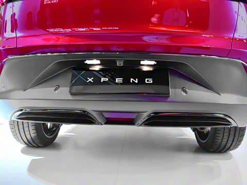 2019�� ������