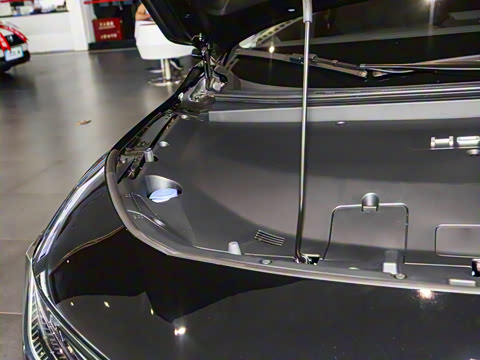 2025�� ����������Plus