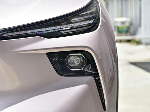 2025�� 445km ��ѡ��