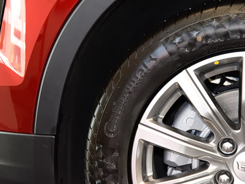 2021�� 28T ����������