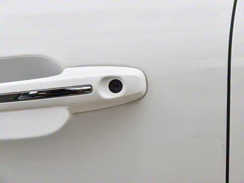 2020�� EcoBoost 245 ����������