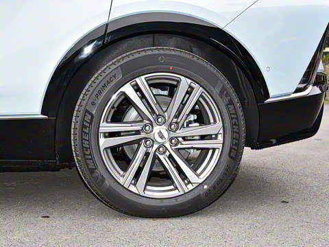 2022�� ��������������