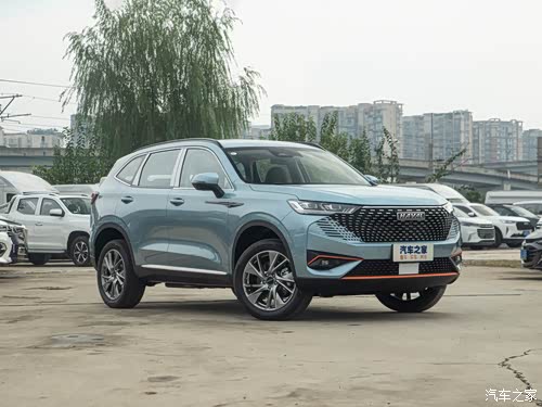 哈弗h6dht热销中欢迎到店选购