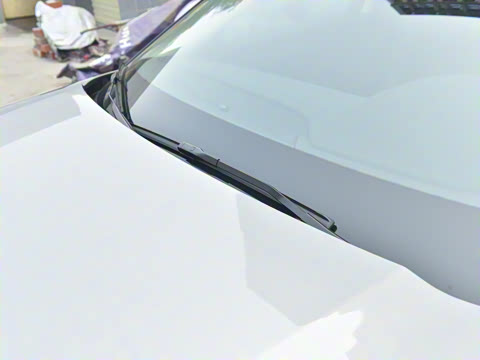 2021�� ����L P300e ������