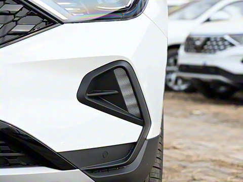 2022�� ��è�� 1.4T �Զ�������Pro