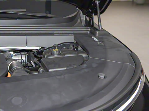 2025�� Max ���ܻ��°�