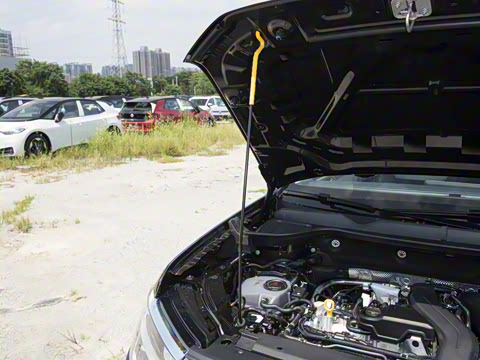 2025�� 300TSI ������°�