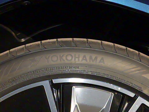 2022�� �Ŀ� ������