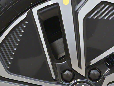 2025�� 55km ������