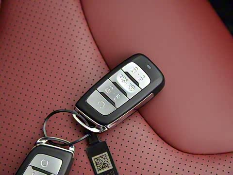 2019�� 2.0T �Զ��ǰ� ��VI