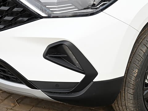 2022�� ��è�� 1.4T �Զ�������Pro