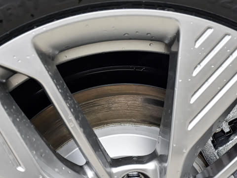 2025�� 445km ��ѡ��