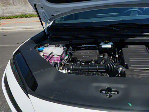 2025�� DM-i 170�캽Pro��